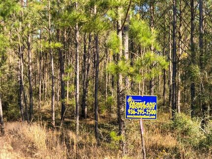 Undeveloped Land in Jasper County, Texas