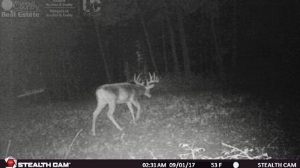 Undeveloped Land in Richland County, Wisconsin