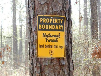 Undeveloped Land in Jasper County, Georgia