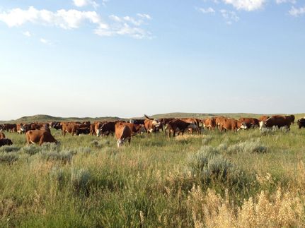 Farm and Ranch in Weston County, Wyoming