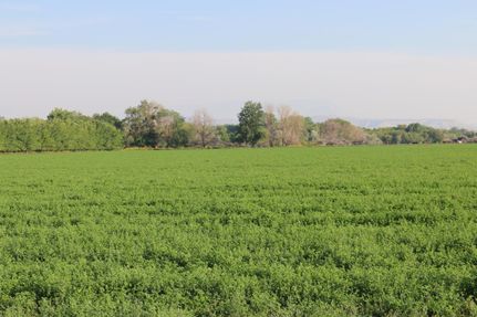 Recreational Property in Big Horn County, Wyoming