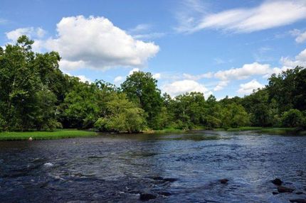 Undeveloped Land in Summers County, West Virginia