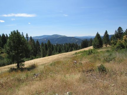 Timberland Property in Benewah County, Idaho
