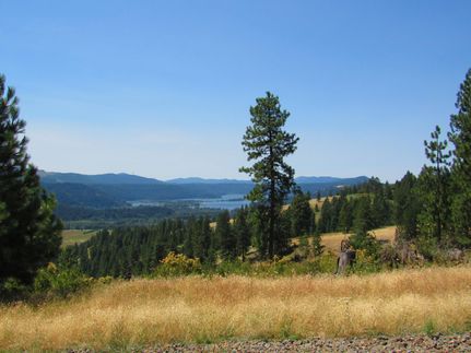 Timberland Property in Benewah County, Idaho