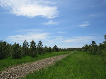 Land in Benewah County, Idaho