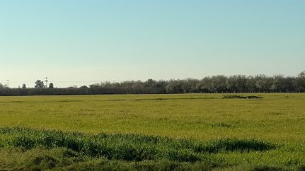 Farm and Ranch in Stanislaus County, California