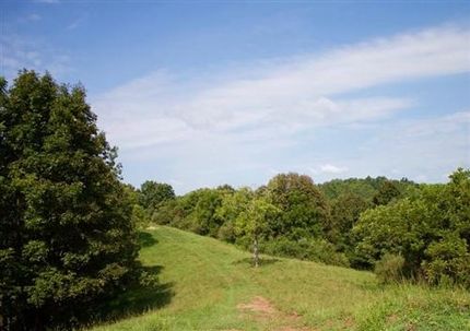 Land in Roane County, West Virginia