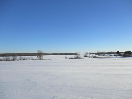 Undeveloped Land in Taylor County, Wisconsin