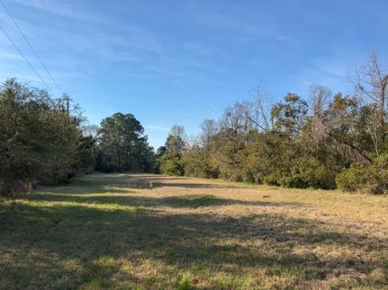 Timberland Property in Charleston County, South Carolina