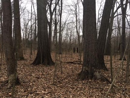 Recreational Property in Warren County, Ohio