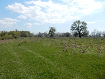Farm and Ranch in Matagorda County, Texas