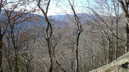 Land in Mitchell County, North Carolina