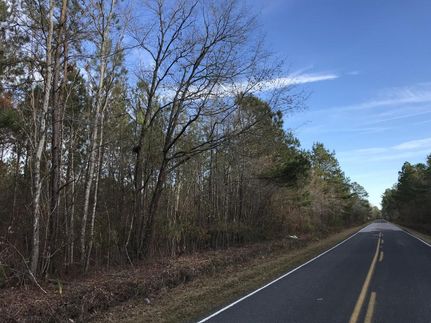 Farm and Ranch in Williamsburg County, South Carolina