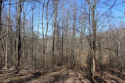 Land in Harrison County, Ohio