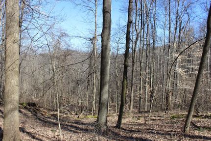 Farm and Ranch in Harrison County, Ohio