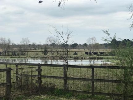 Farm and Ranch in Houston County, Texas