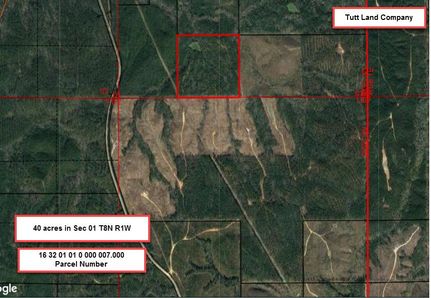 Undeveloped Land in Clarke County, Alabama
