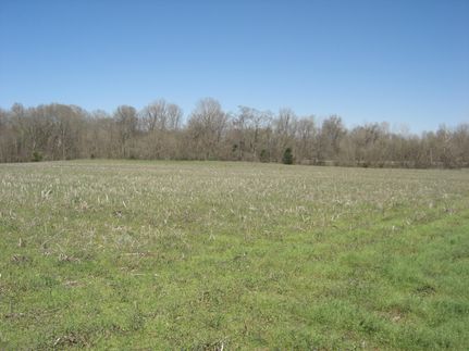 Undeveloped Land in Yazoo County, Mississippi
