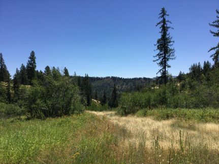 Farm and Ranch in Benewah County, Idaho