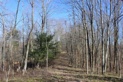 Timberland Property in Harrison County, Ohio