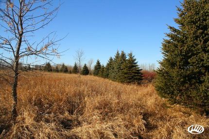 Land in Pope County, Minnesota