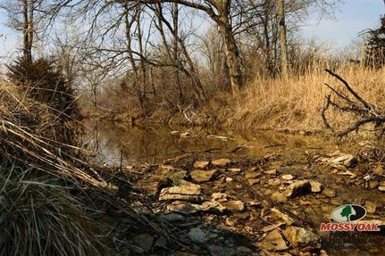 Timberland Property in Greenwood County, Kansas