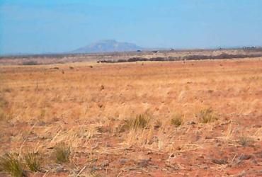 Land in Quay County, New Mexico