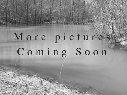 Undeveloped Land in Trigg County, Kentucky