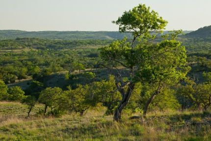 Undeveloped Land in Blanco County, Texas