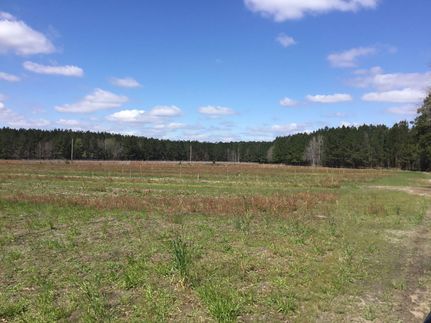 Land in Hampton County, South Carolina