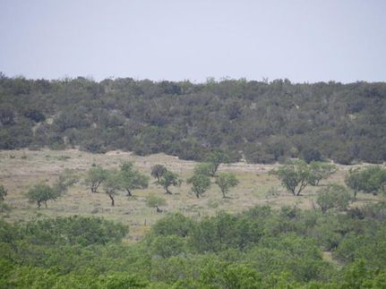 Farm and Ranch in Coke County, Texas