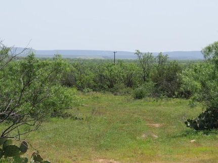 Undeveloped Land in Coke County, Texas