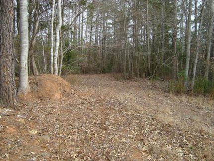 Land in Chester County, South Carolina