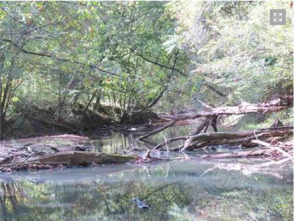 Undeveloped Land in York County, South Carolina