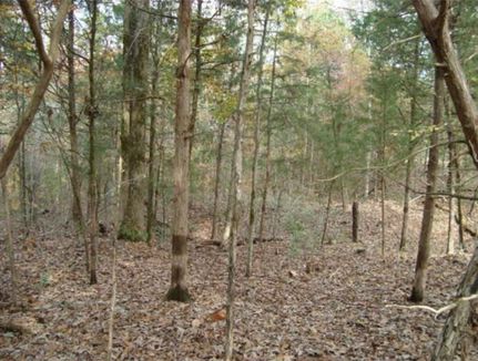 Land in Chester County, South Carolina