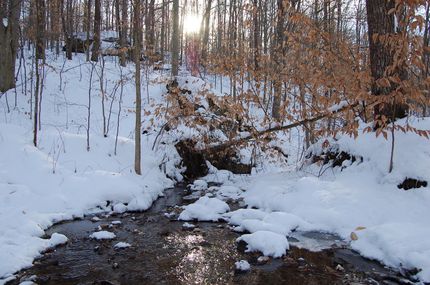 Farm and Ranch in Guernsey County, Ohio