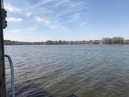 Timberland Property in Henderson County, Texas