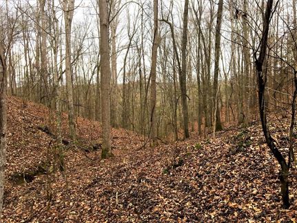 Undeveloped Land in Franklin County, Alabama