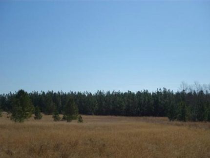 Farm and Ranch in Calhoun County, South Carolina