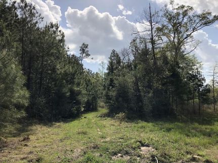 Recreational Property in Polk County, Texas