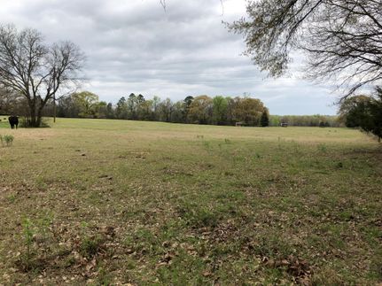 Undeveloped Land in Titus County, Texas