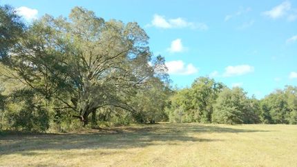 Timberland Property in Marion County, Florida