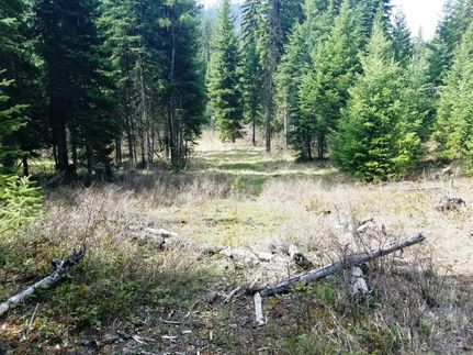 Recreational Property in Mineral County, Montana