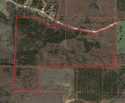 Timberland Property in Randolph County, Alabama
