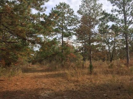 Farm and Ranch in Kershaw County, South Carolina