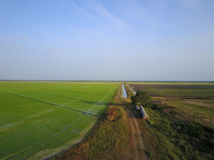 Farm and Ranch in Brazoria County, Texas