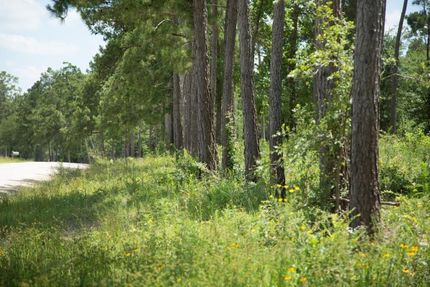 Farm and Ranch in Walker County, Texas