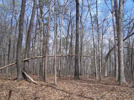 Undeveloped Land in Habersham County, Georgia