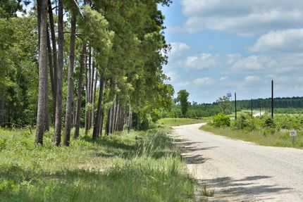 Recreational Property in Walker County, Texas