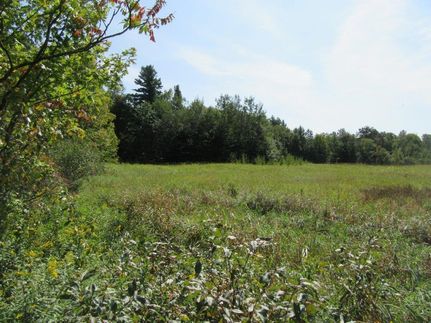 Undeveloped Land in Montgomery County, New York